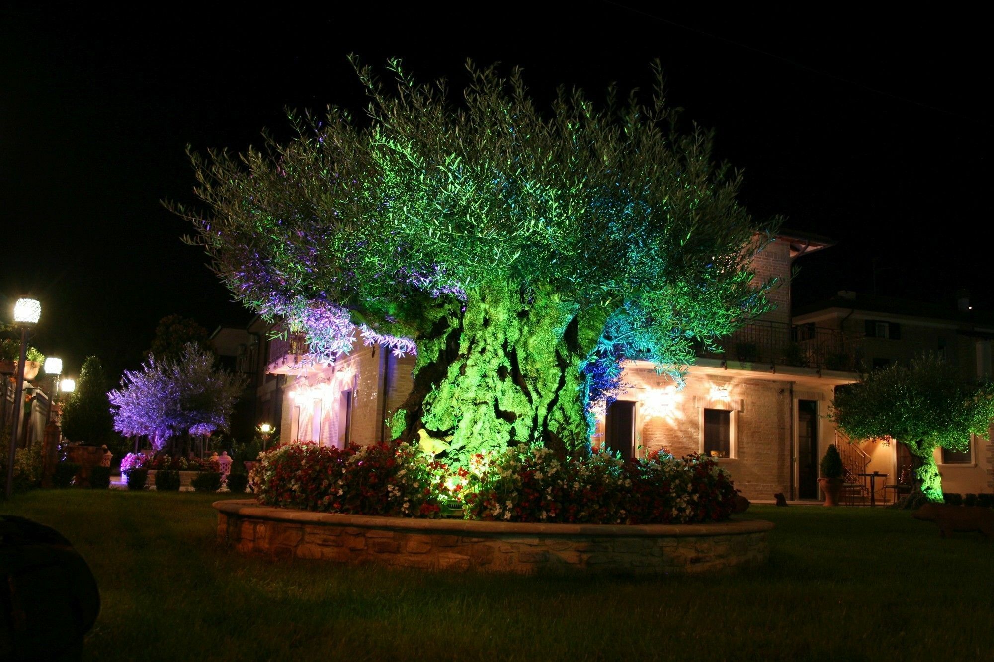 Domus Angeli Hotel Assisi Buitenkant foto