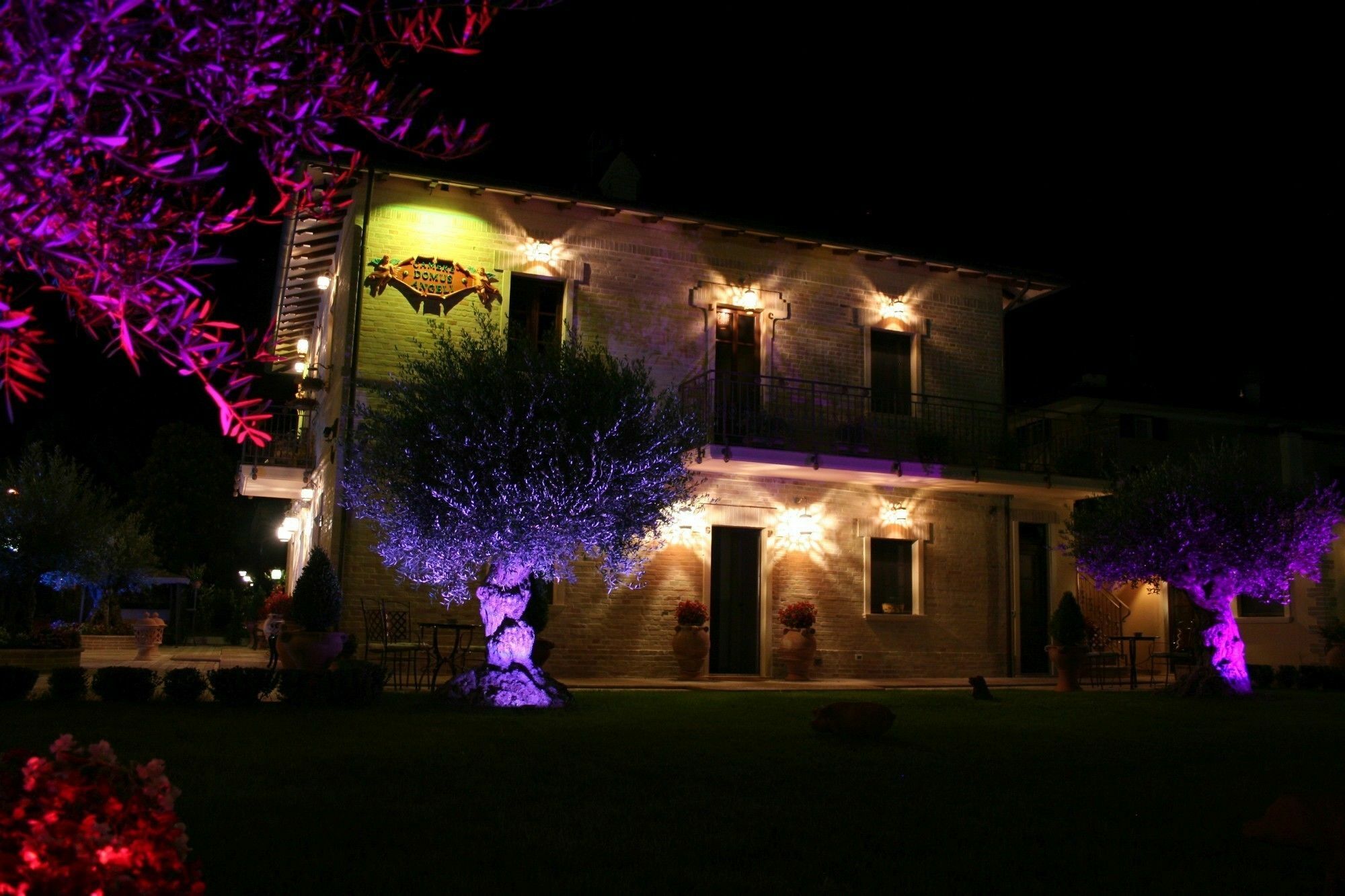 Domus Angeli Hotel Assisi Buitenkant foto